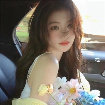 狗狗的疯狂假期